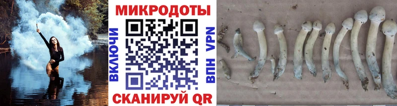 сколько стоит  кракен ссылки  Галлюциногенные грибы ЛСД  Кувшиново 